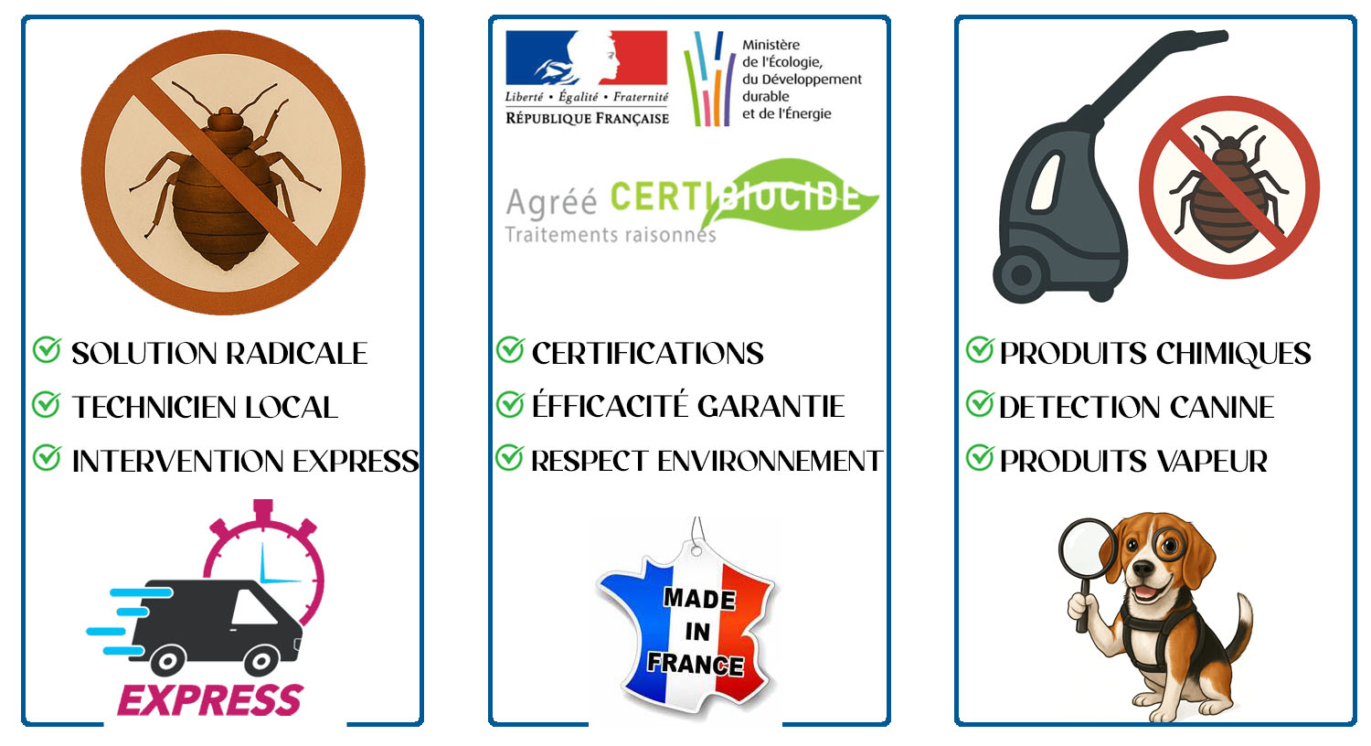 Punaises de Lit Saint Gratien