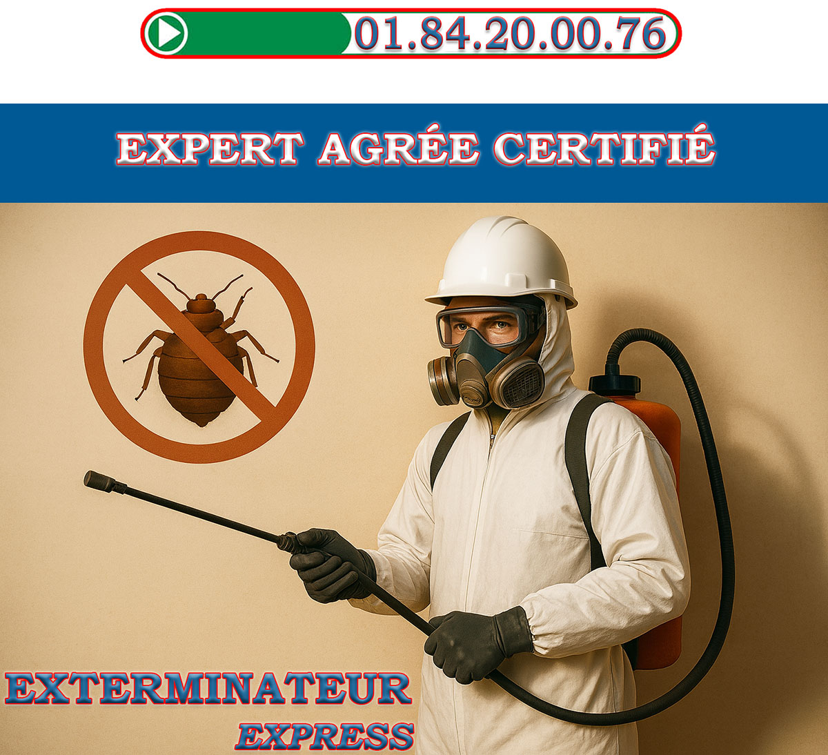 Punaises de Lit Saint Gratien